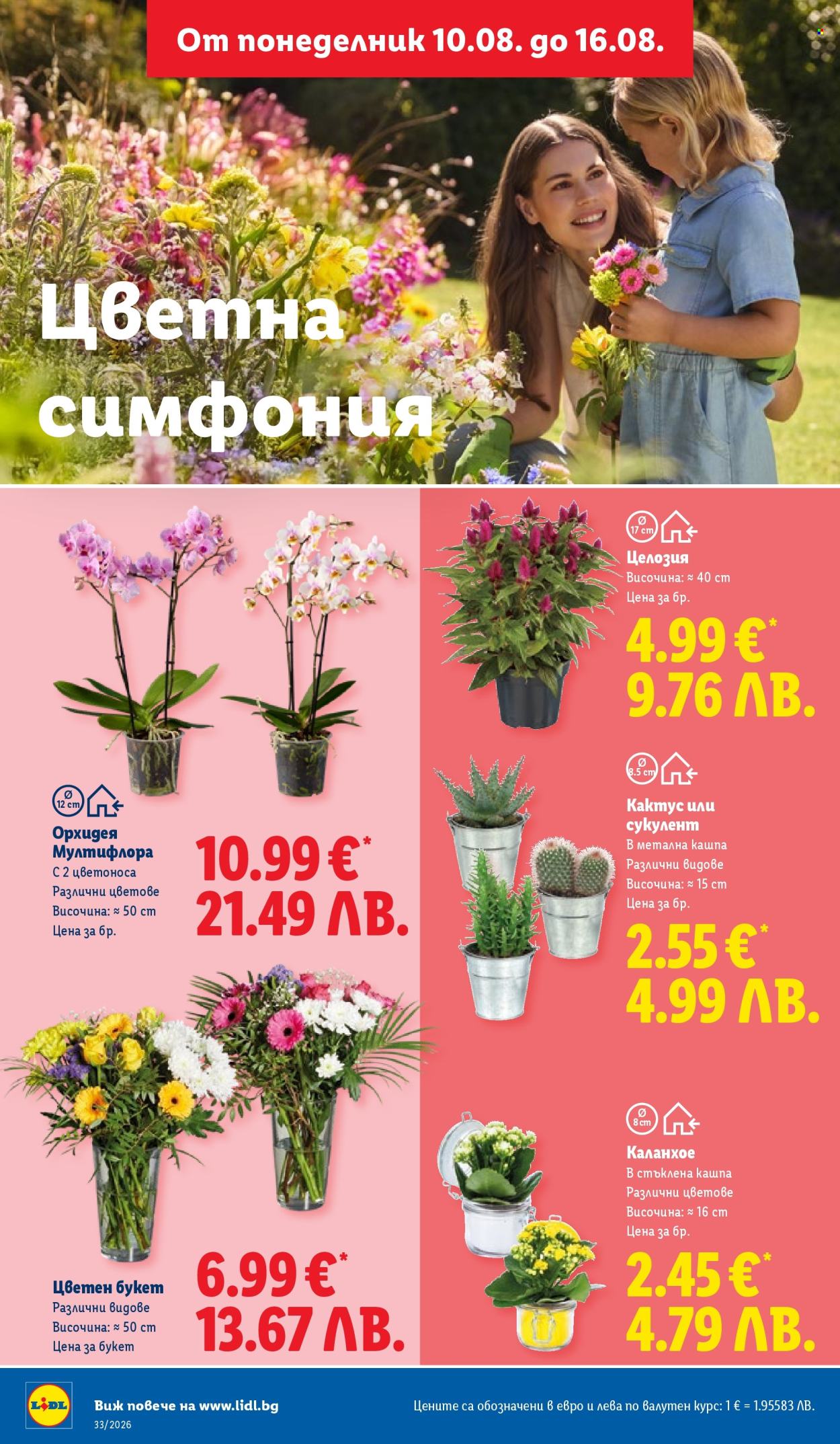 Брошура на Лидл - 10.08.2026 - 16.08.2026. Страница 52
