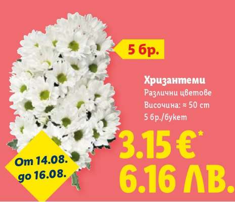 Хризантеми