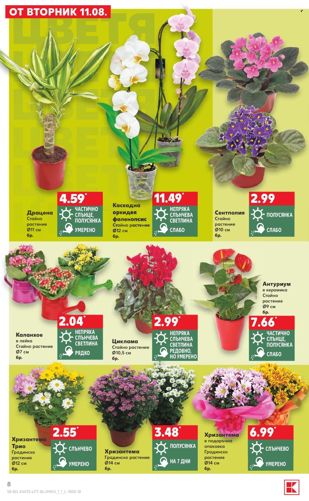 Брошура на Кауфланд - 10.08.2026 - 16.08.2026. Страница 8