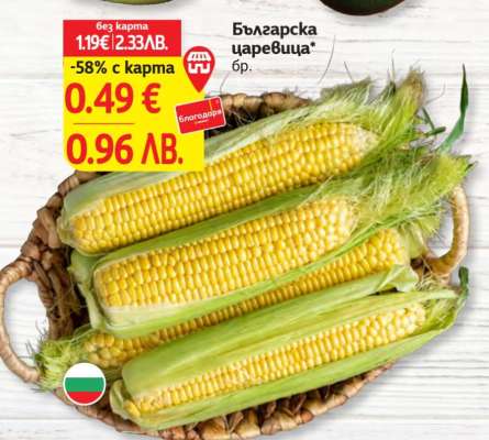 Българска царевица