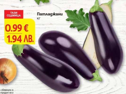 Патладжани