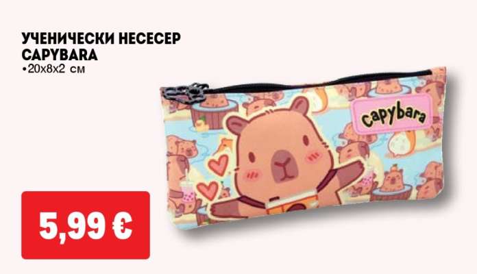УЧЕНИЧЕСКИ НЕСЕСЕР CAPYBARA