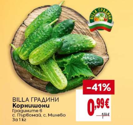 Корнишони