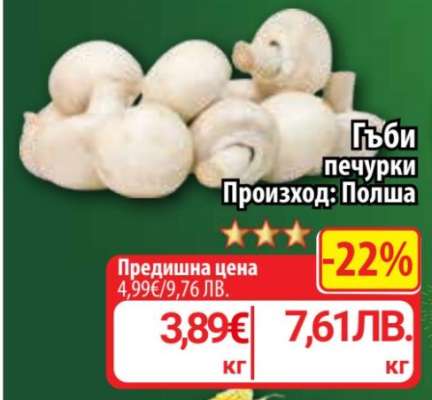 Гъби печурки