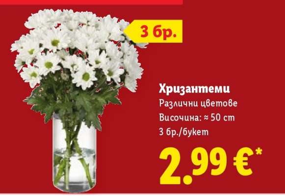 Хризантеми