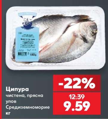 Ципура