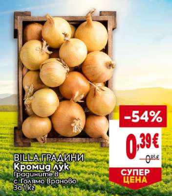 Кромид лук