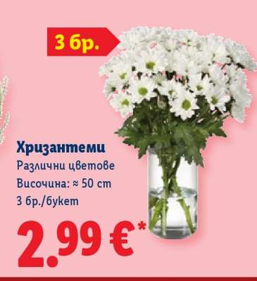 Хризантеми