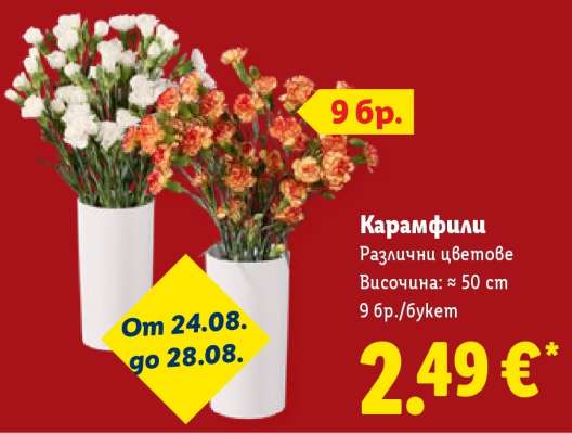Карамфили