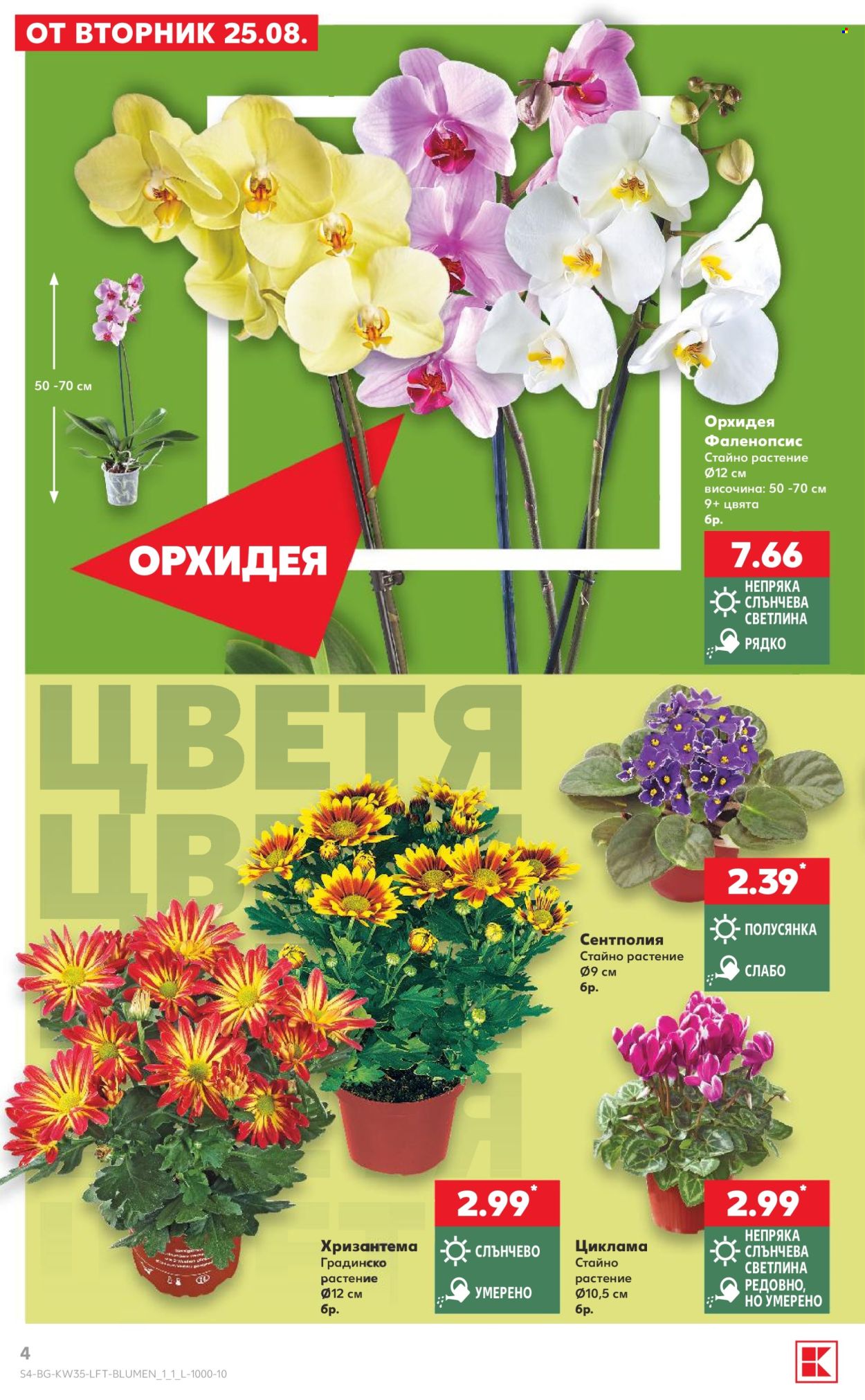 Брошура на Кауфланд - 24.08.2026 - 30.08.2026. Страница 4