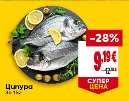 Ципура