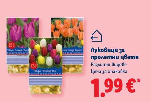Луковици за пролетни цветя