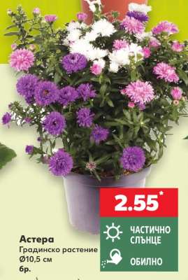 ASTERA