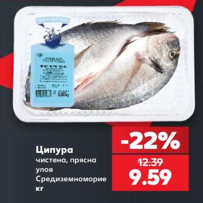 Ципура