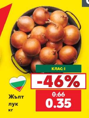 Жълт лук кг