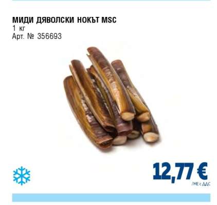 Миди дяволски нокът MSC