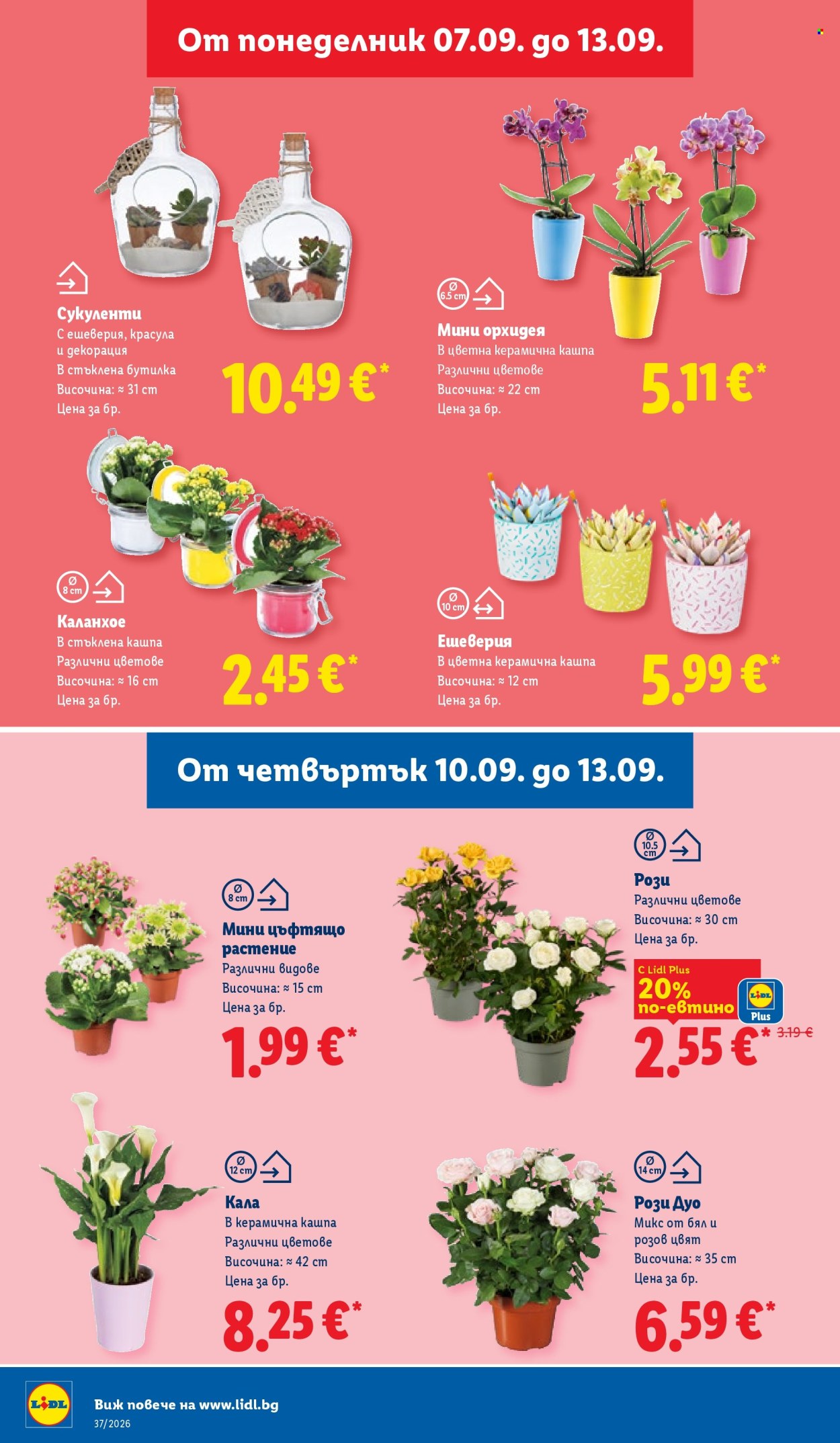 Брошура на Лидл - 07.09.2026 - 13.09.2026. Страница 52