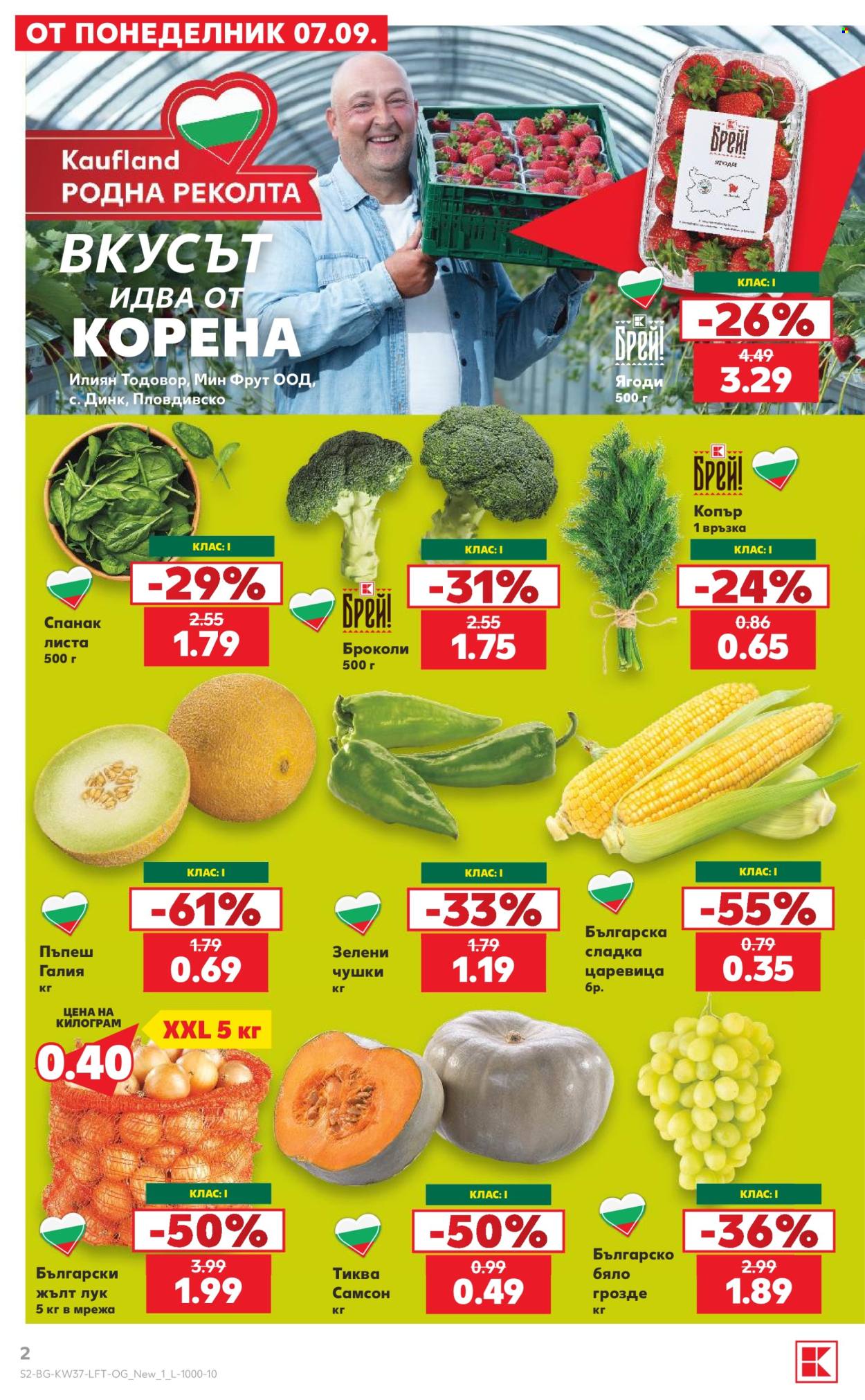Брошура на Кауфланд - 07.09.2026 - 13.09.2026. Страница 2