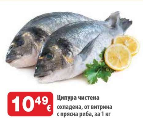 Ципура чистена охладена
