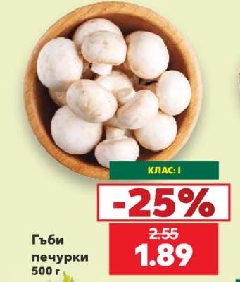 Гъби печурки