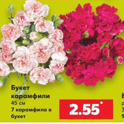 Букет карамфили