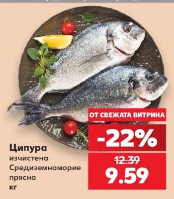 Ципура