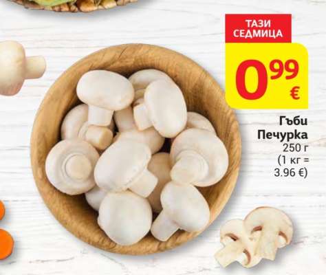 Гъби печурка
