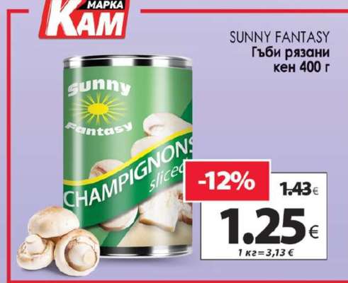 SUNNY FANTASY