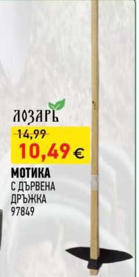 Мотика