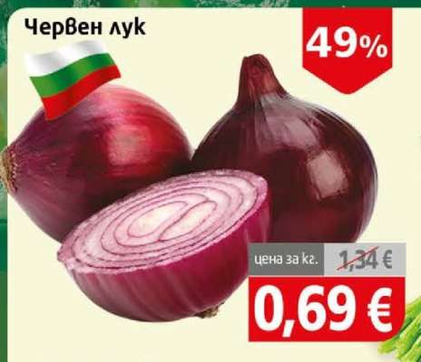 Червен лук
