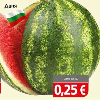 Диня