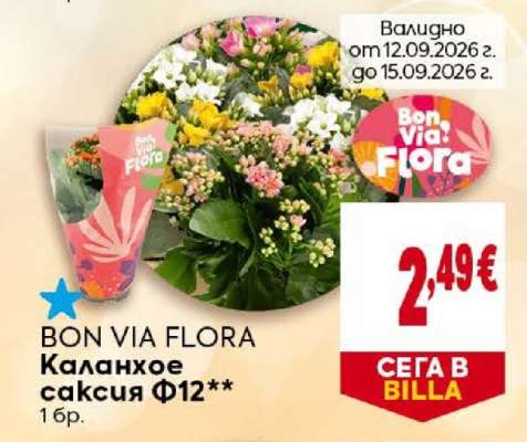 BON VIA FLORA