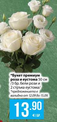Букет премиум роза и еустома