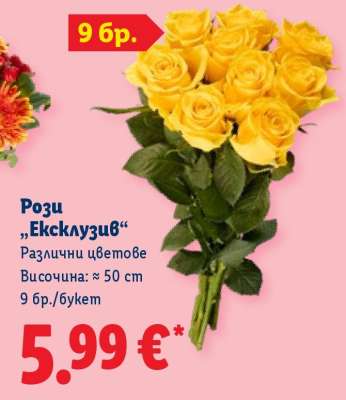 Рози „Ексклузив“
