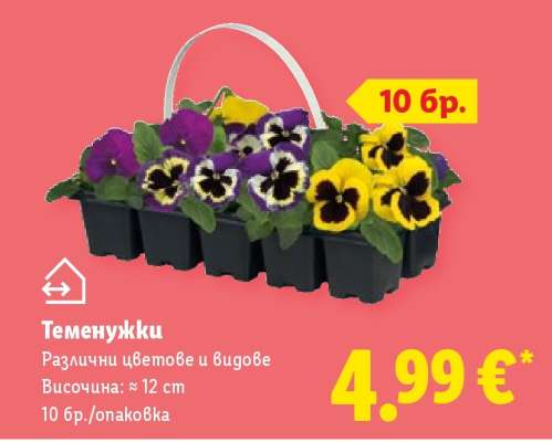 Теменужки