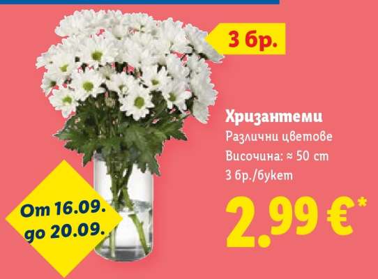 Хризантеми