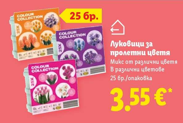 Луковици за пролетни цветя