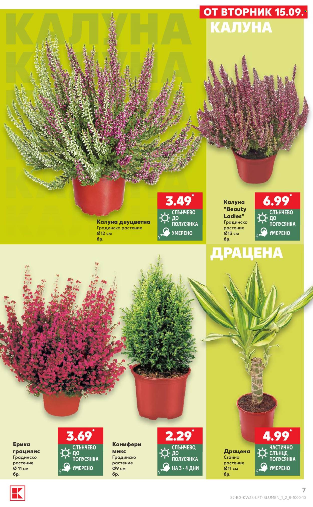 Брошура на Кауфланд - 14.09.2026 - 20.09.2026. Страница 7