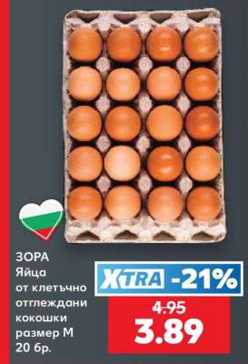 ЗОРА