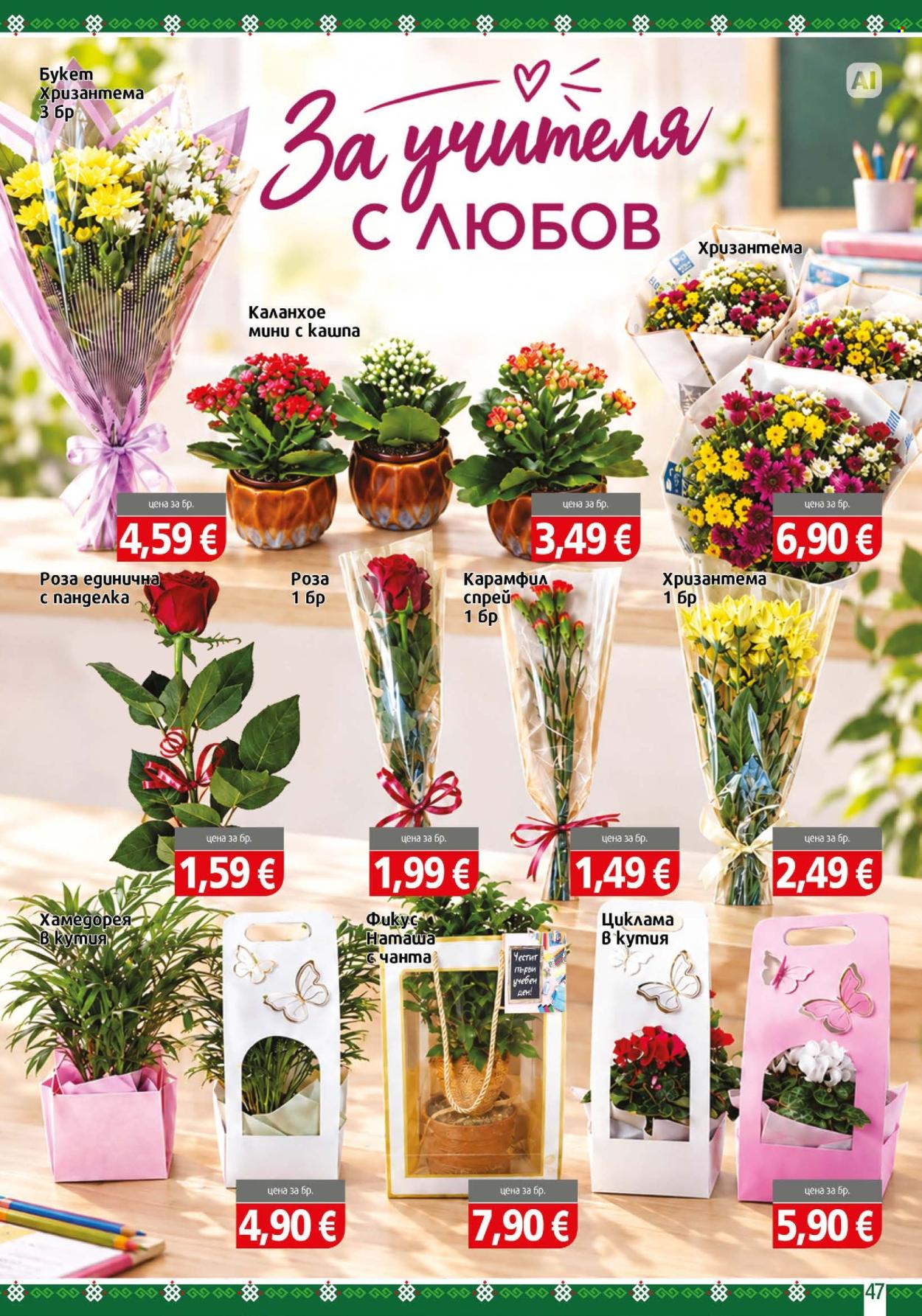 Брошура на BulMag - 14.09.2026 - 20.09.2026. Страница 47