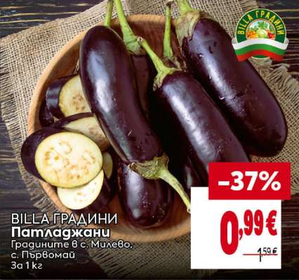 Патладжани
