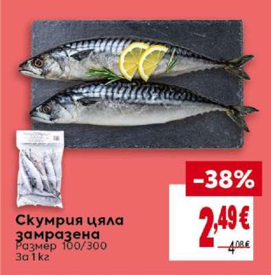 СКУМРИЯ ЦЯЛА ЗАМРАЗЕНА