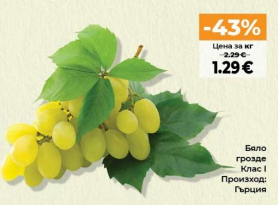 Бяло грозде