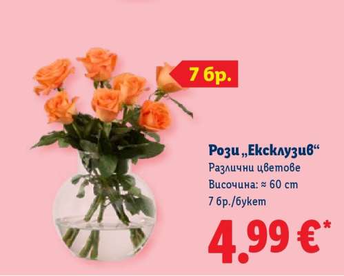 Рози „Ексклузив“