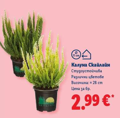 Калуна Скайлайн