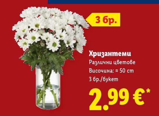 Хризантеми