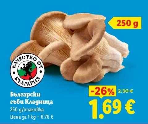 Български гъби кладница