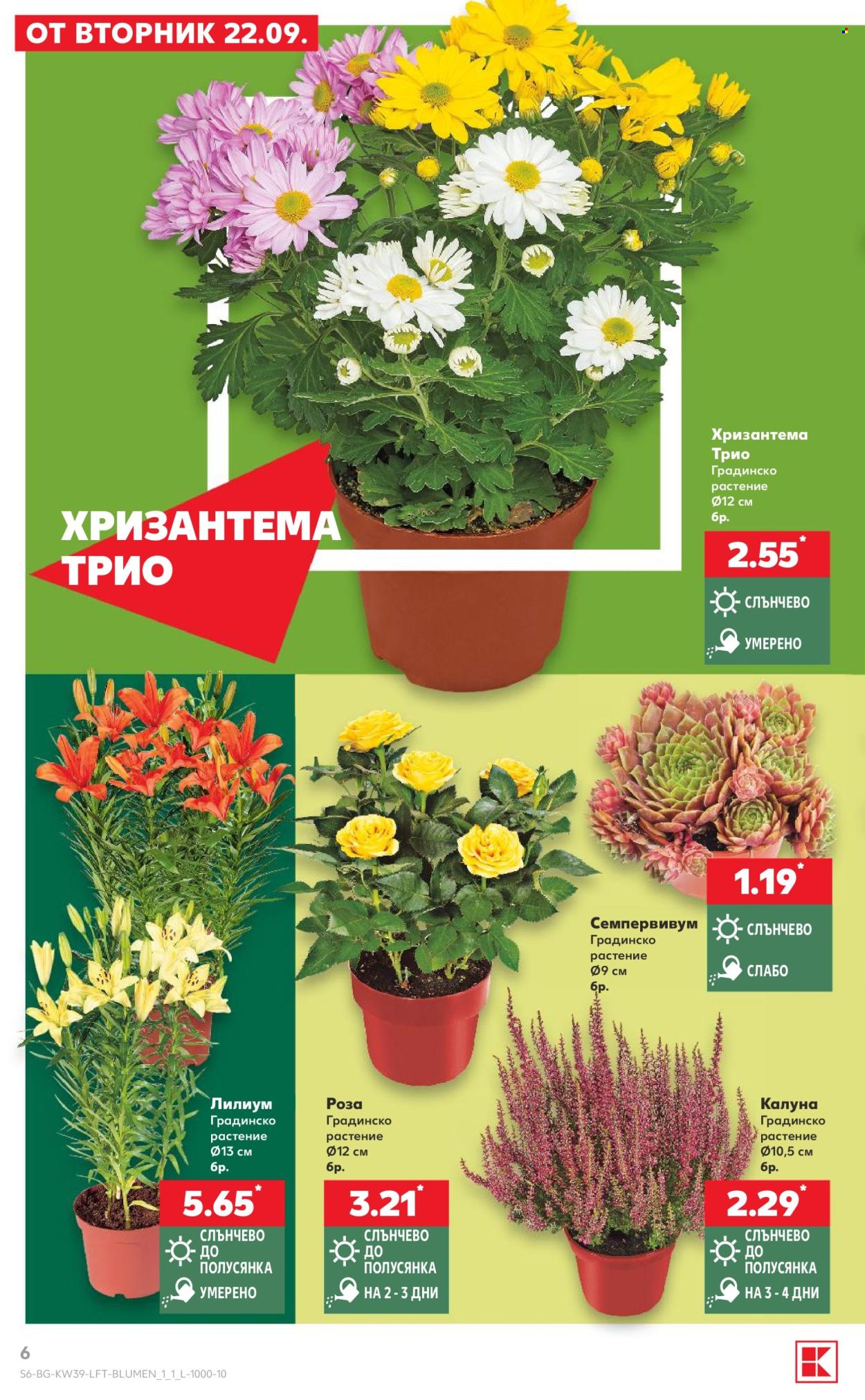 Брошура на Кауфланд - 21.09.2026 - 27.09.2026. Страница 6