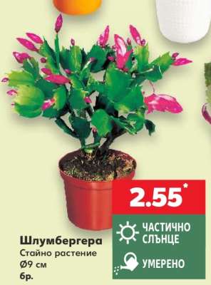 Шлумбергера