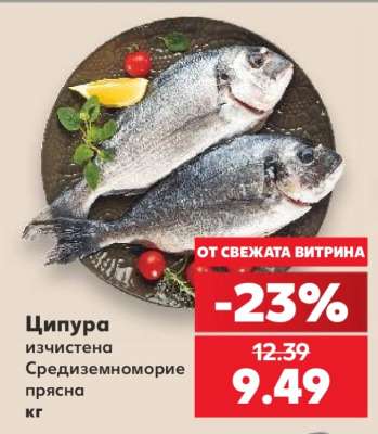 Ципура